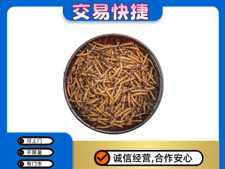 朝阳回收散虫草